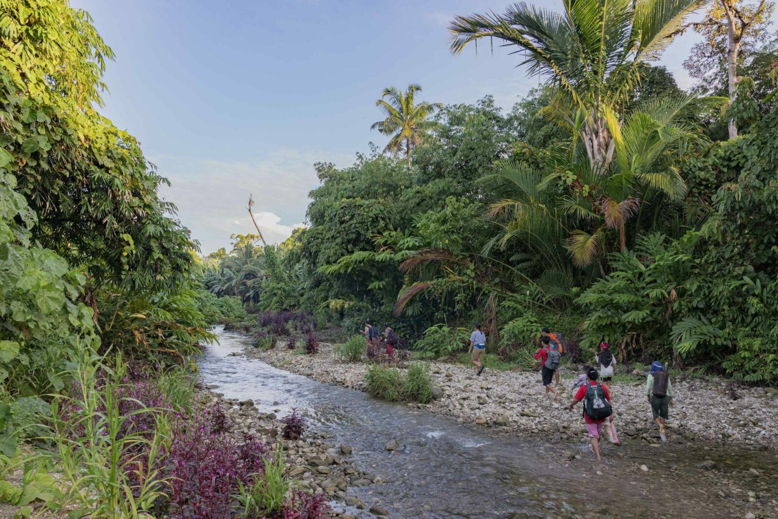 Tourists traveling on foot through the rainforest of Siberut Island