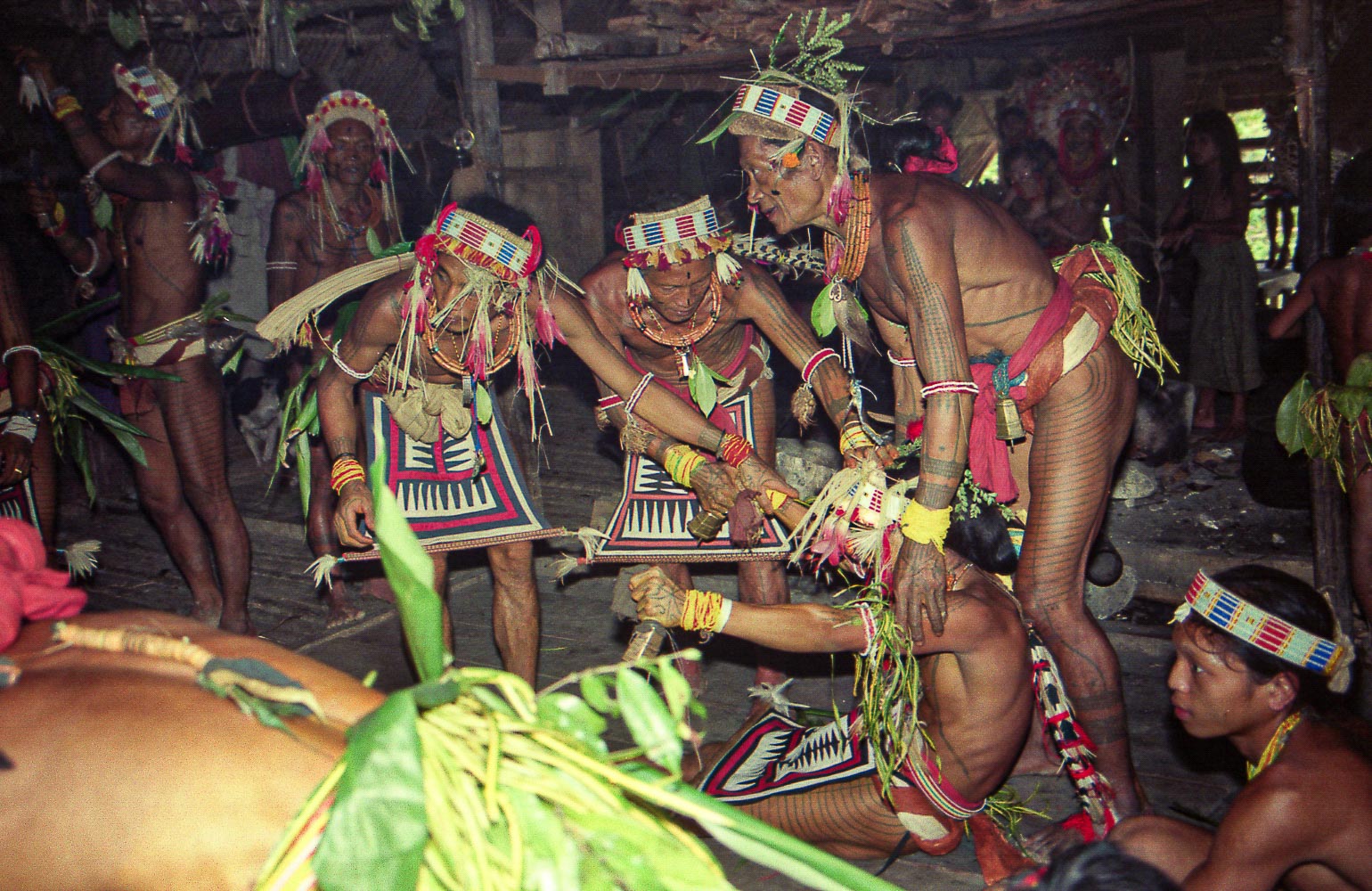 Mentawai shaman in trance during initiation ritual on Siberut Island