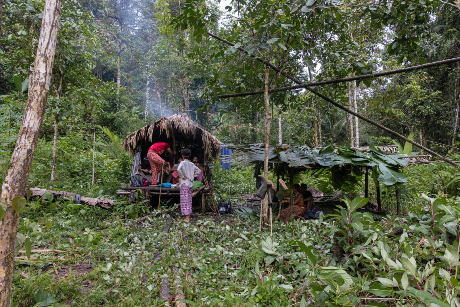 Tourists in a hunting camp in the rainforest of Siberut Island