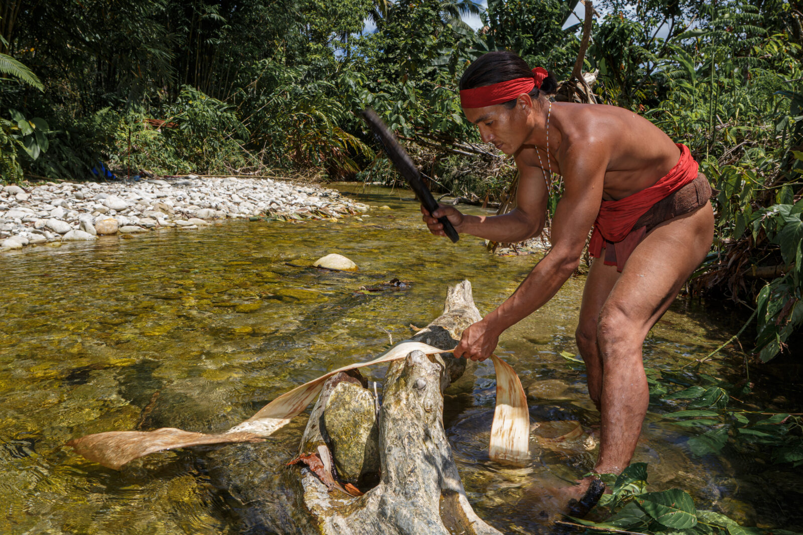 Mentawai shaman making bark loincloth