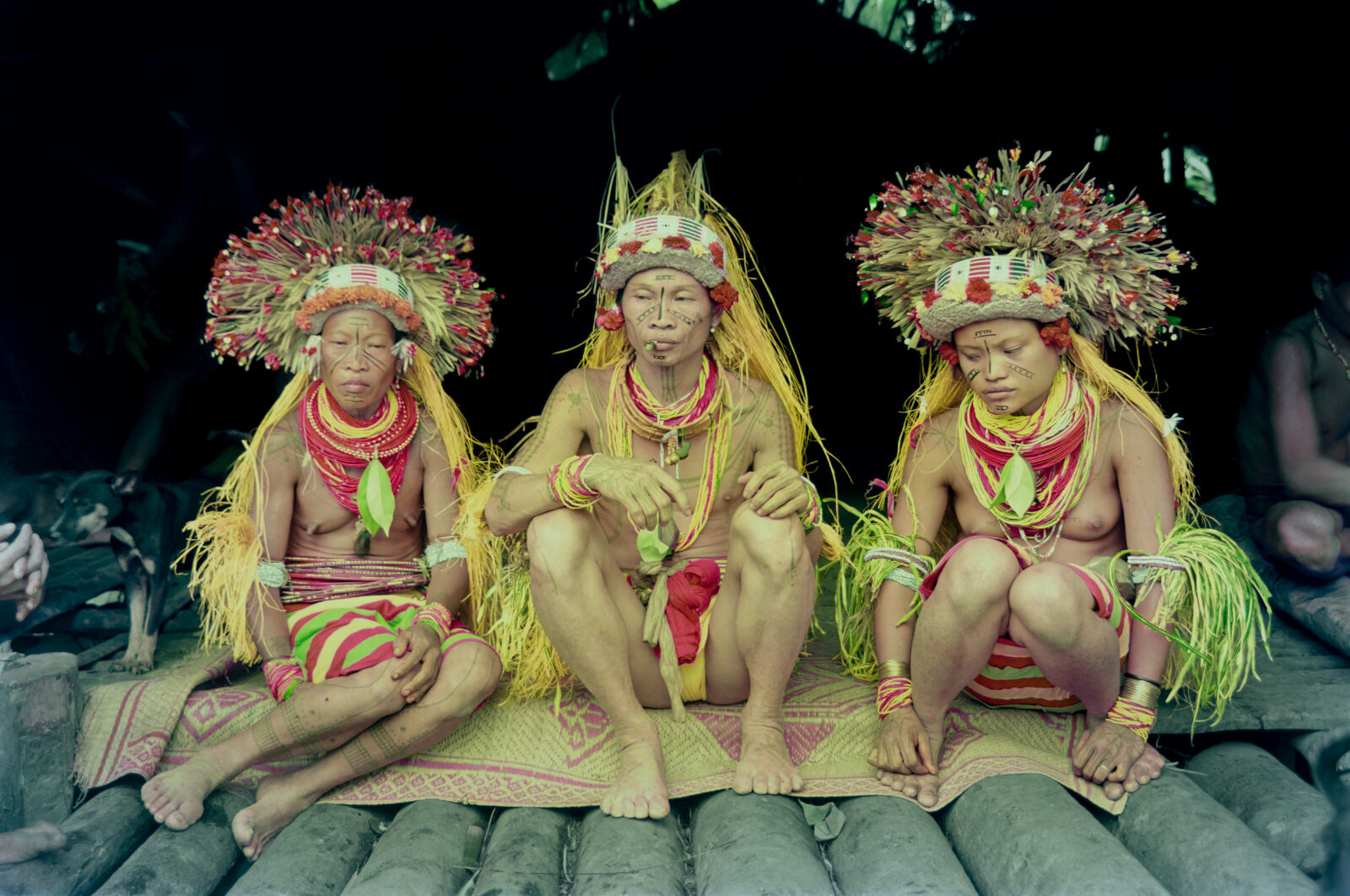 Mentawai Bride and groom in ceremonial attire during pangurai wedding ritual