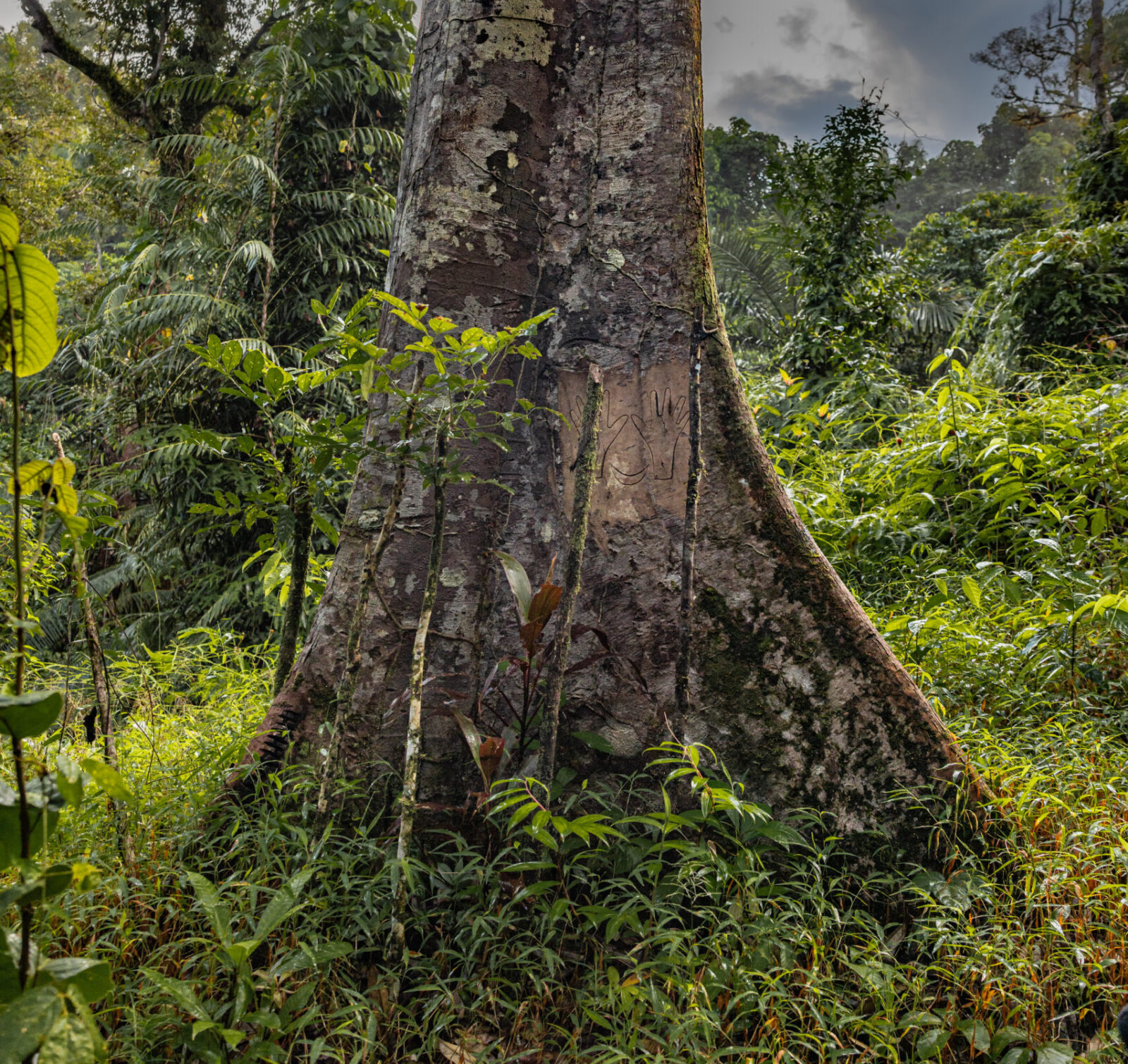 A carved takep on tree and kirekat decorative plant sticks as Mentawai death memorial