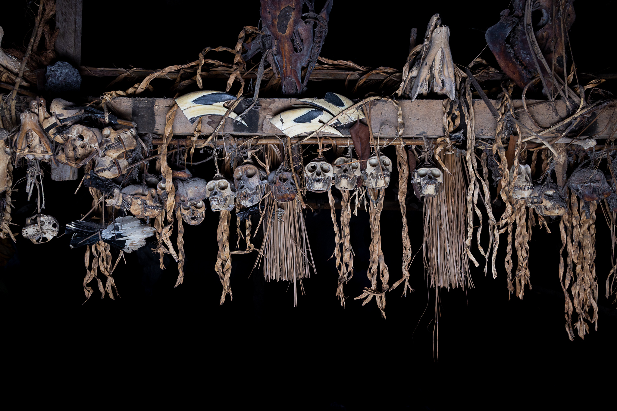 Monkey skulls traditional Mentawai uma Siberut Island private tour