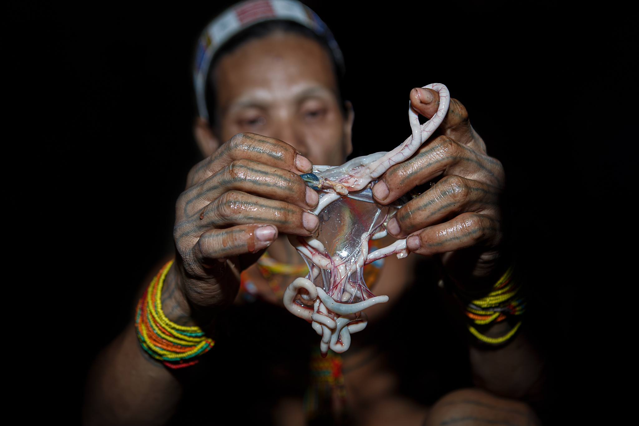 Mentawai shaman on Siberut reading vein pattern of sacrificed chicken