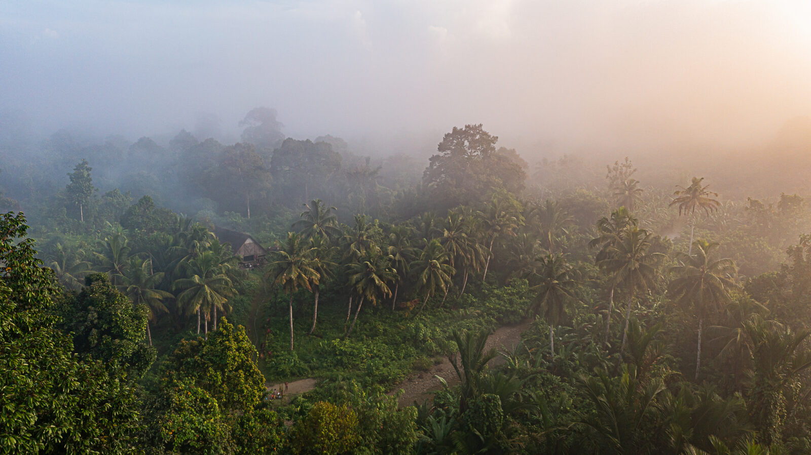 Traditional Mentawai uma clan house along a river on Siberut Island