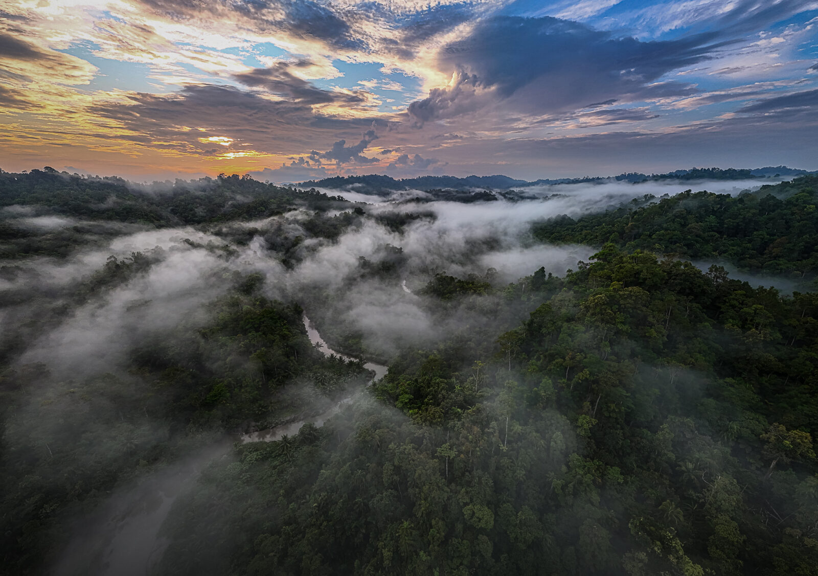 River meandering through siberut rainforest