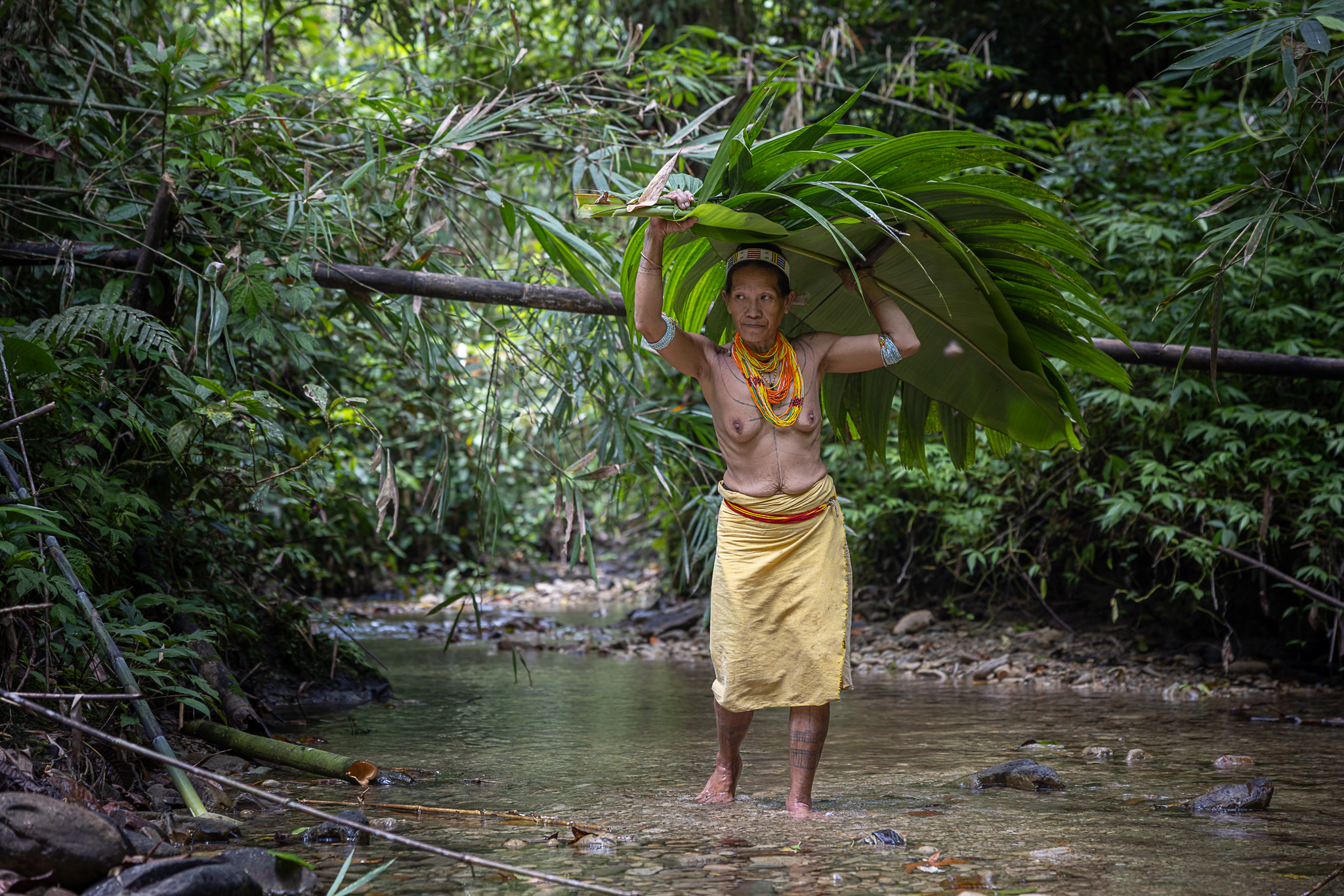 Mentawai woman wading through a creek in the Siberut rainforest