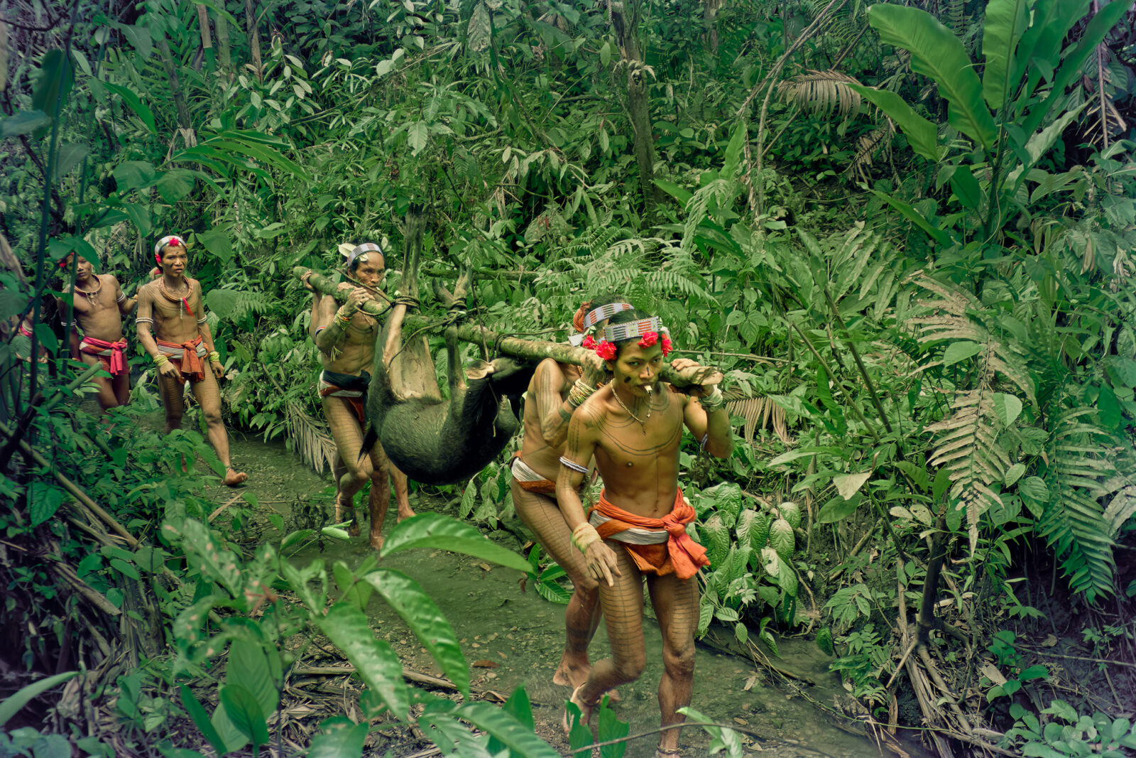 Mentawai shamans with hunted deer, on Siberut
