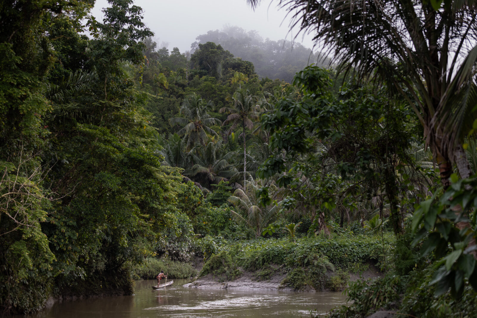 A Mentawai shaman navigating his canoe through the Siberut Island rainforest