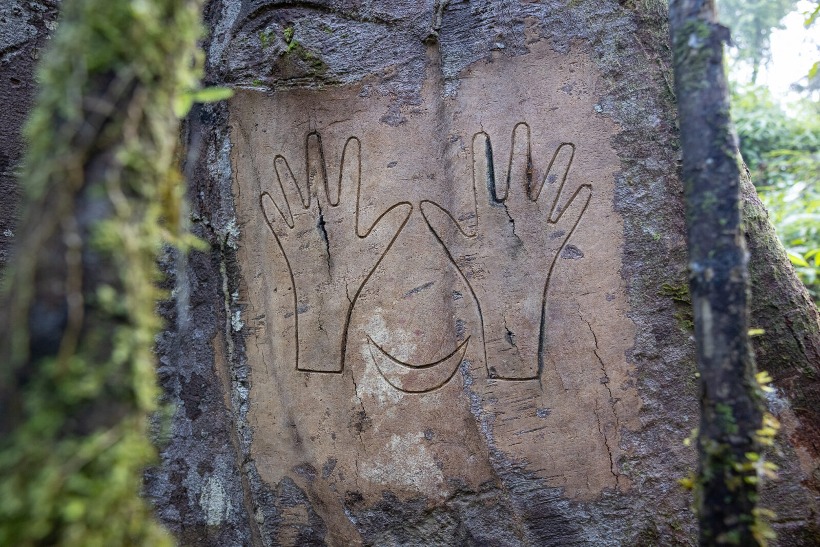 Takep carving of hand and foot on tree, a Mentawai death memorial