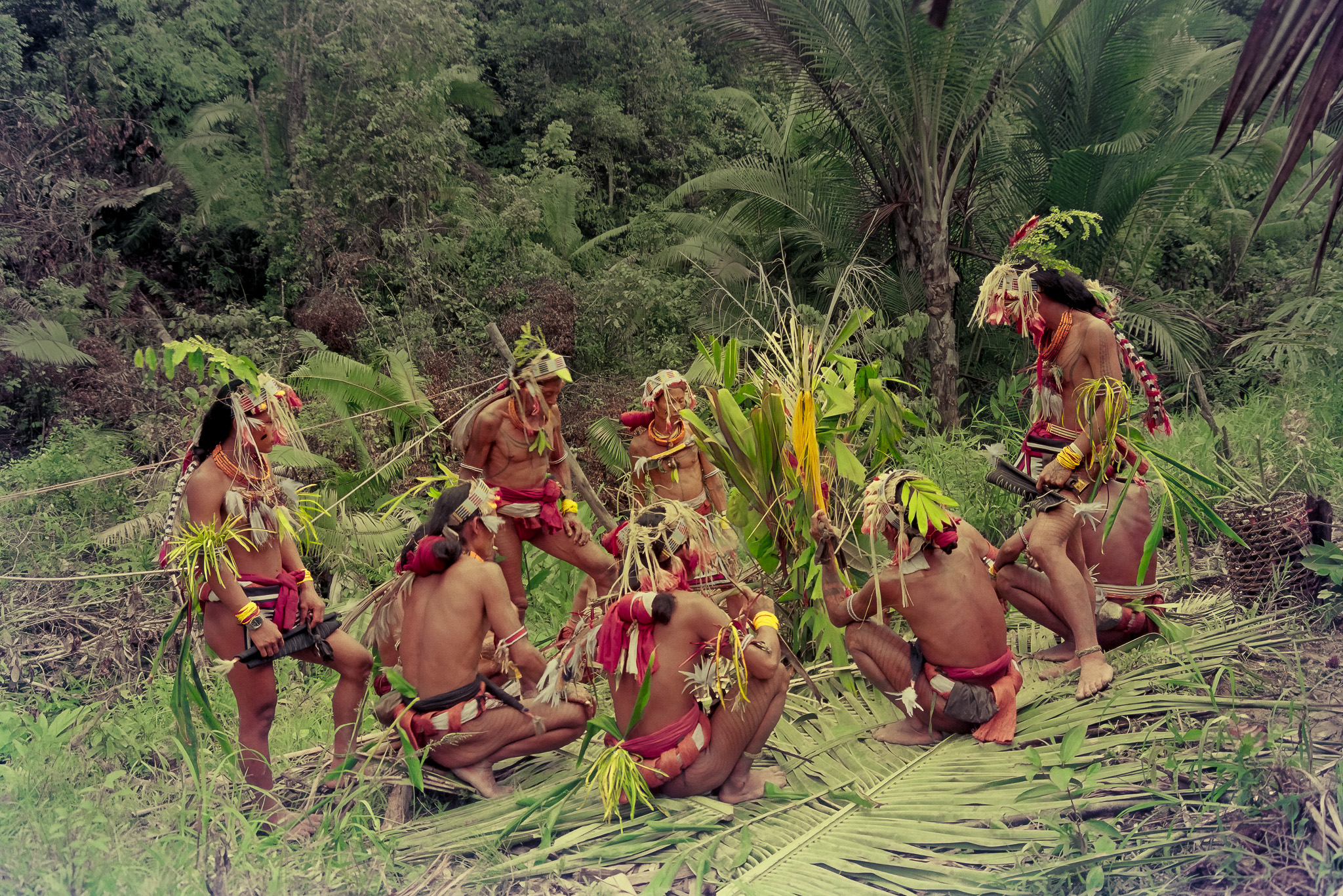 Mentawai shamans around kinumbu tree during initiation ritual