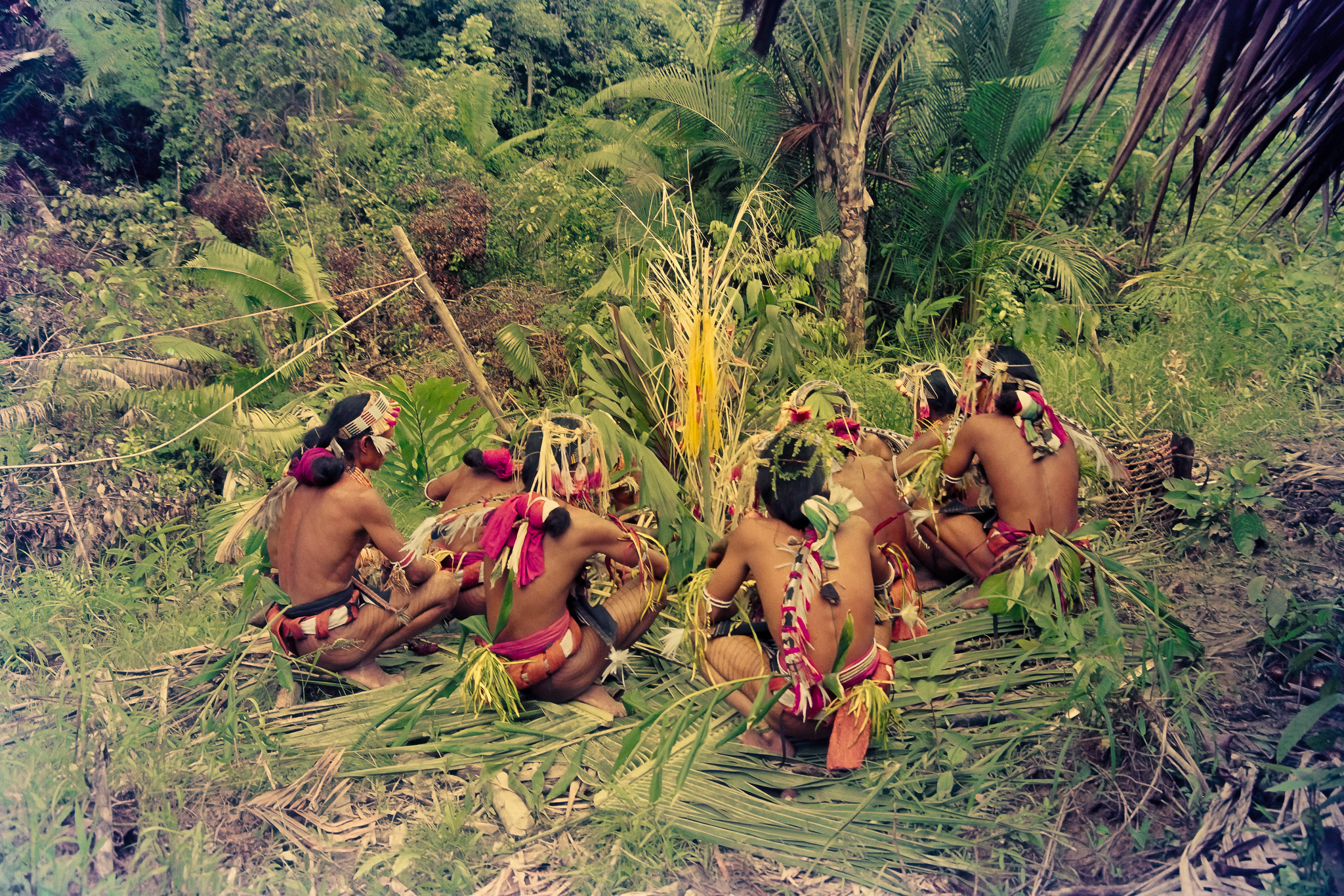 Mentawai shamans around kinumbu tree during initiation ritual