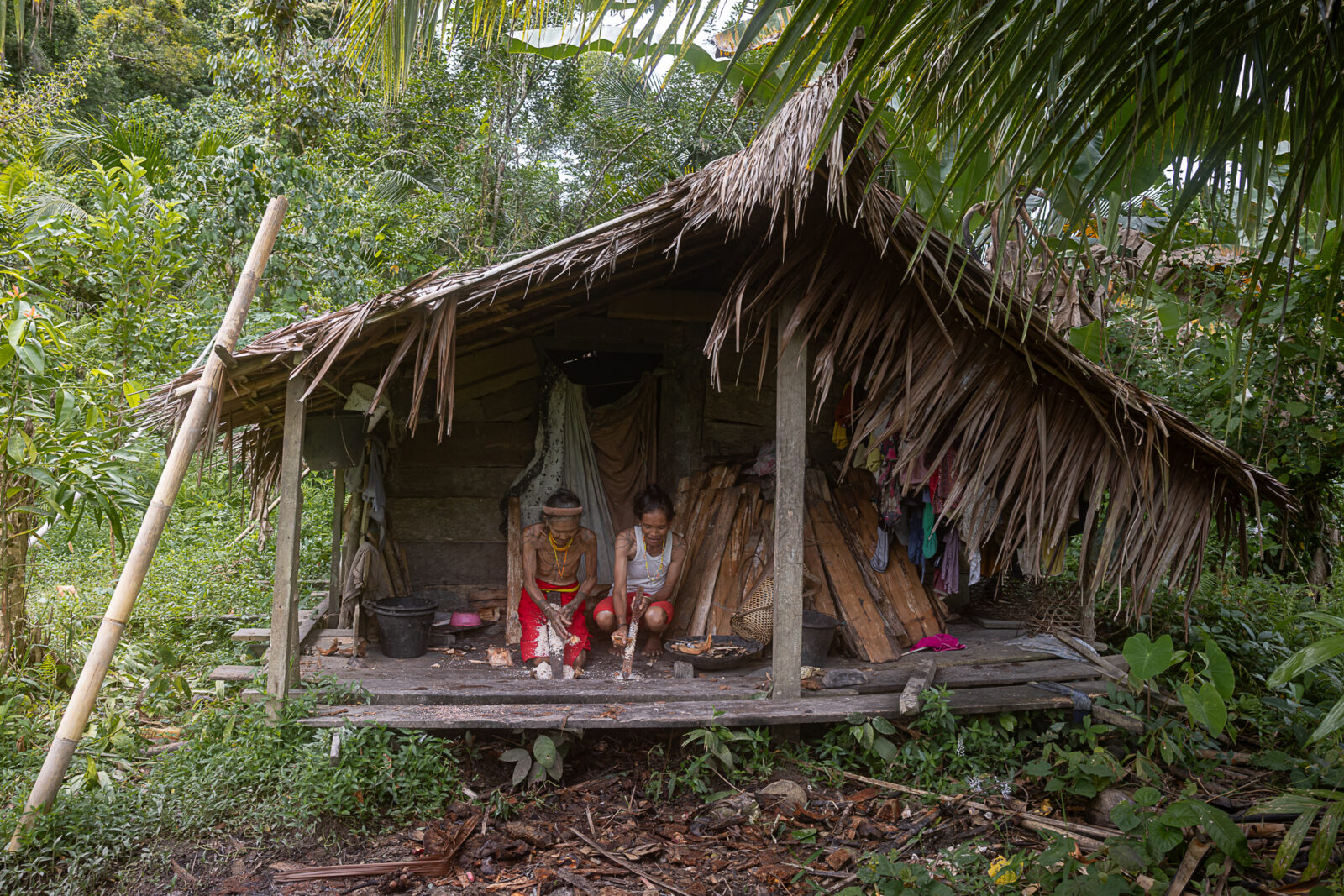 mentawai sapou, a field hut on Siberut