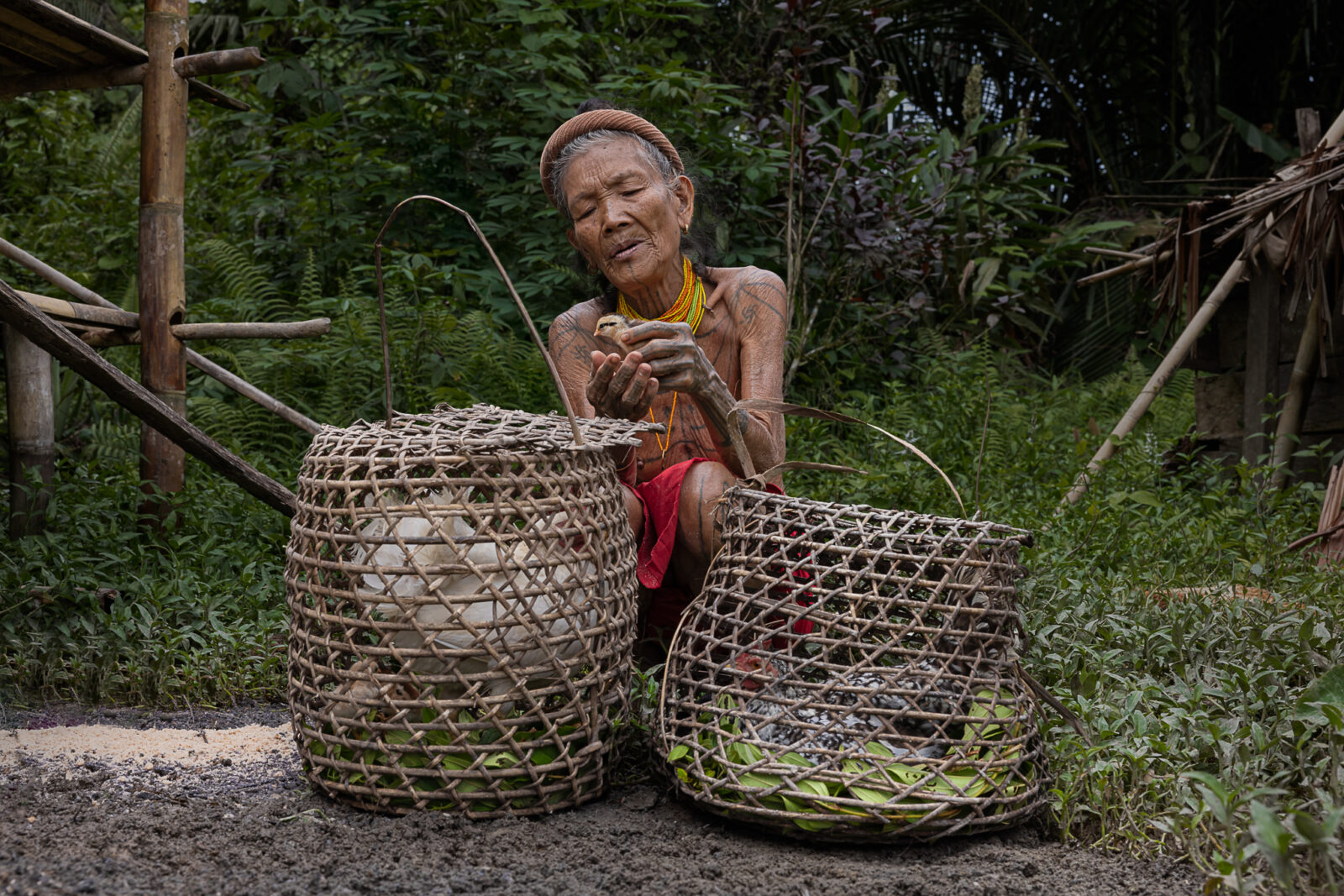Mentawai women with chicken baskets