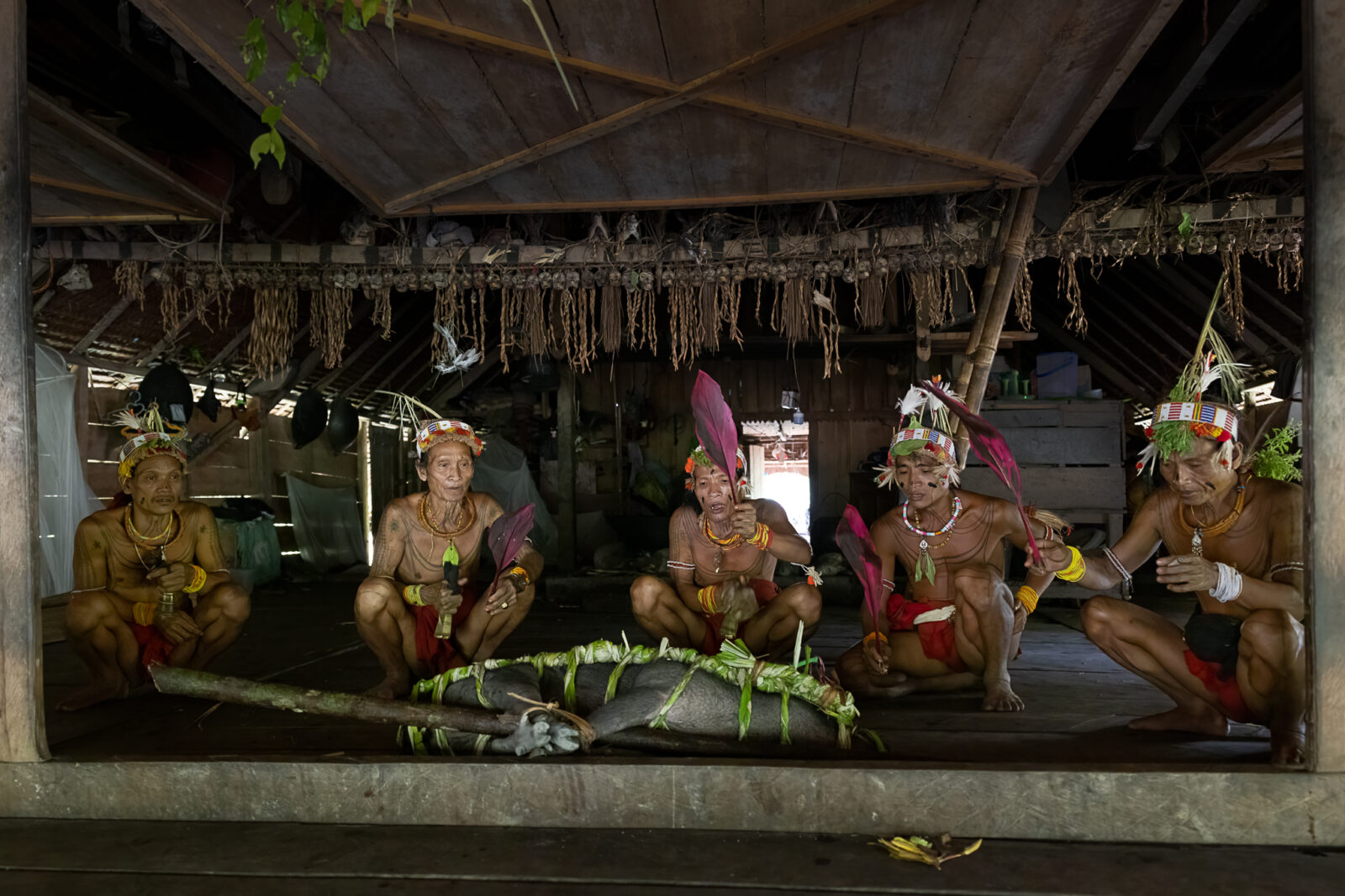 Mentawai shamans blessing a sacrificial pig on Siberut Island