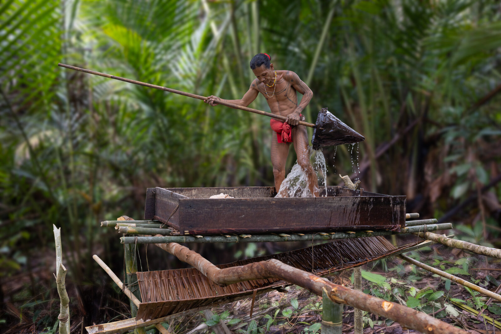 Mentawai shaman processing sago palm on Siberut