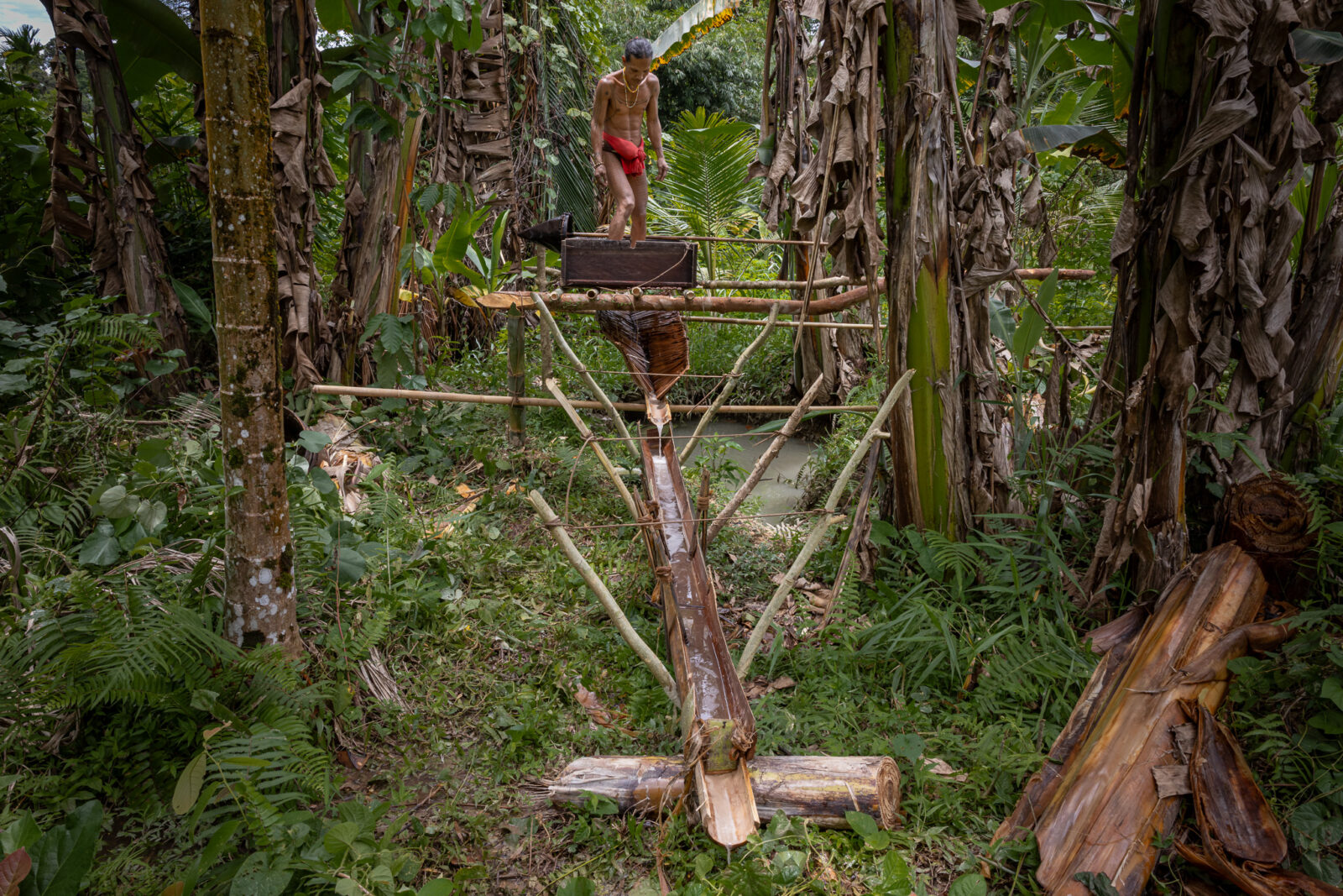 Mentawai shaman processing sago palm on Siberut