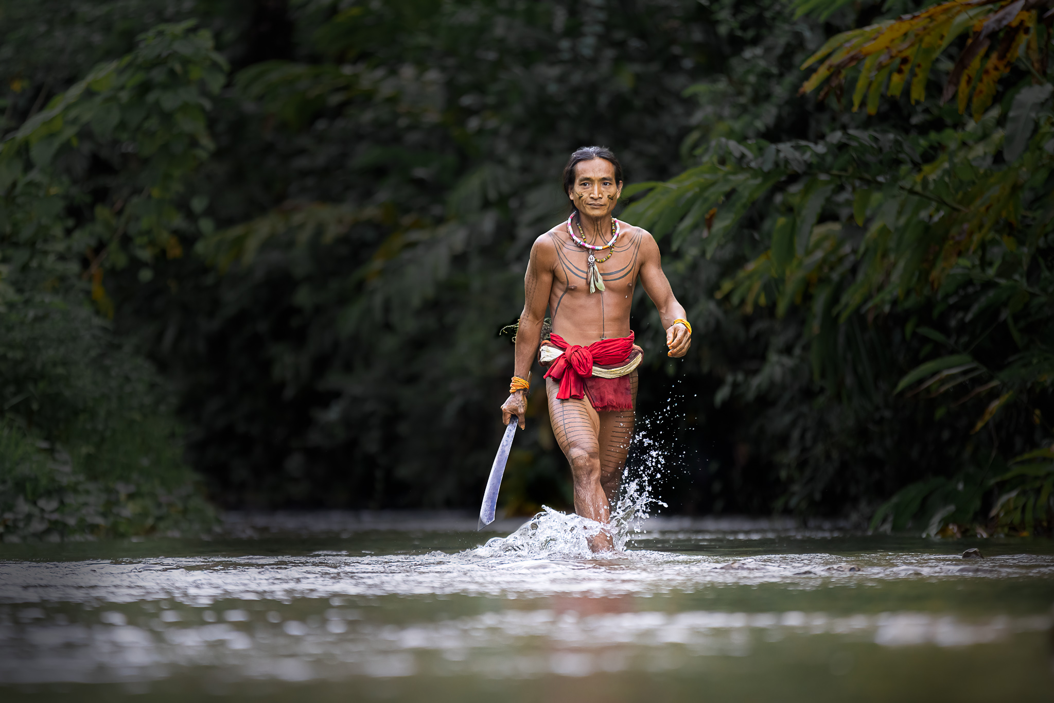 Mentawai shaman man walking through Siberut rainforest.