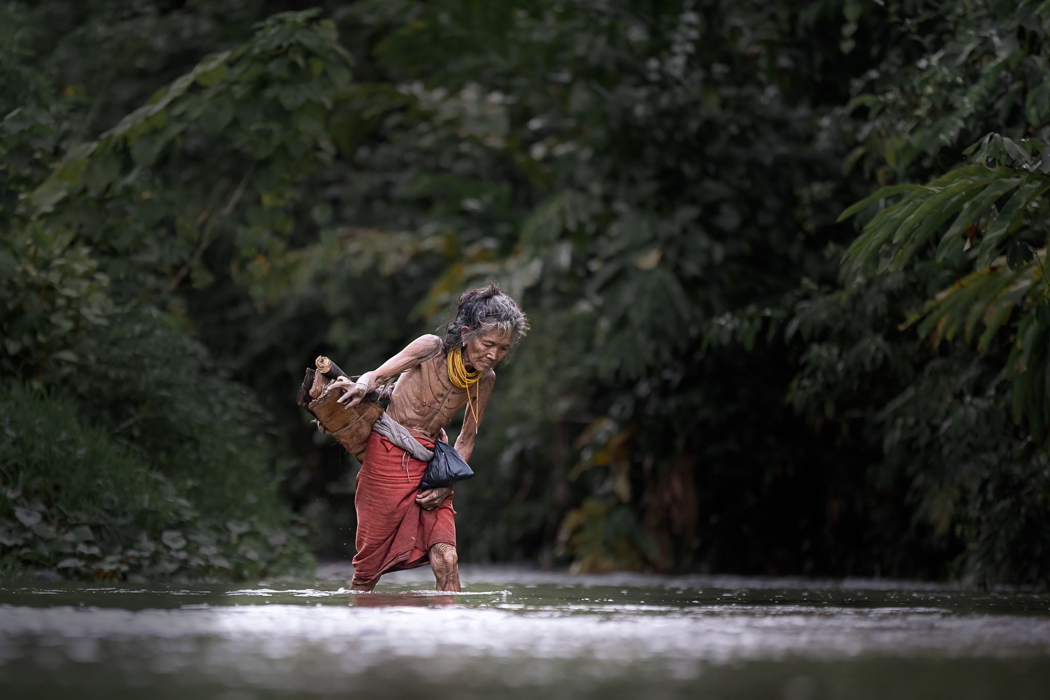 Mentawai woman wading through water, carrying fire wood.