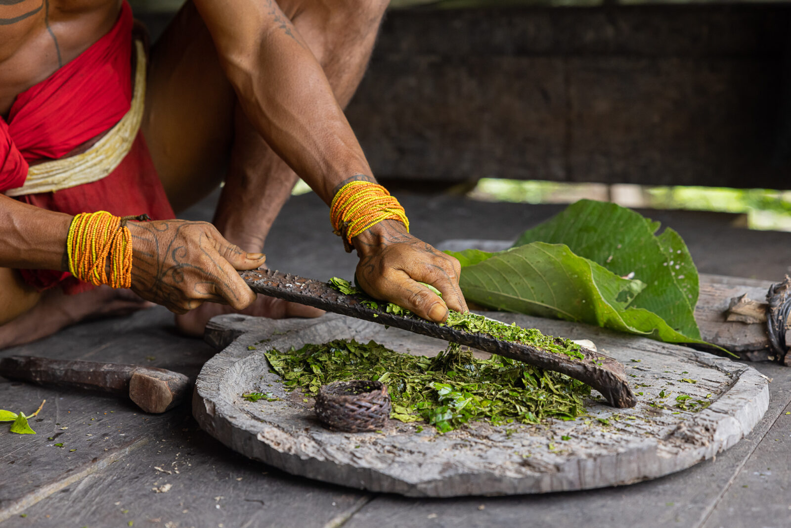 Mentawai man preparing poison for hunting
