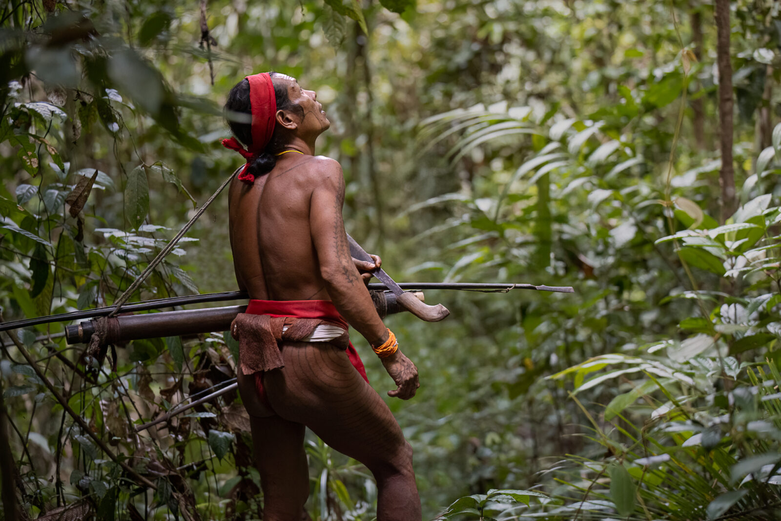 Mentawai shaman hunting in Siberut rainforest with bow and arrows