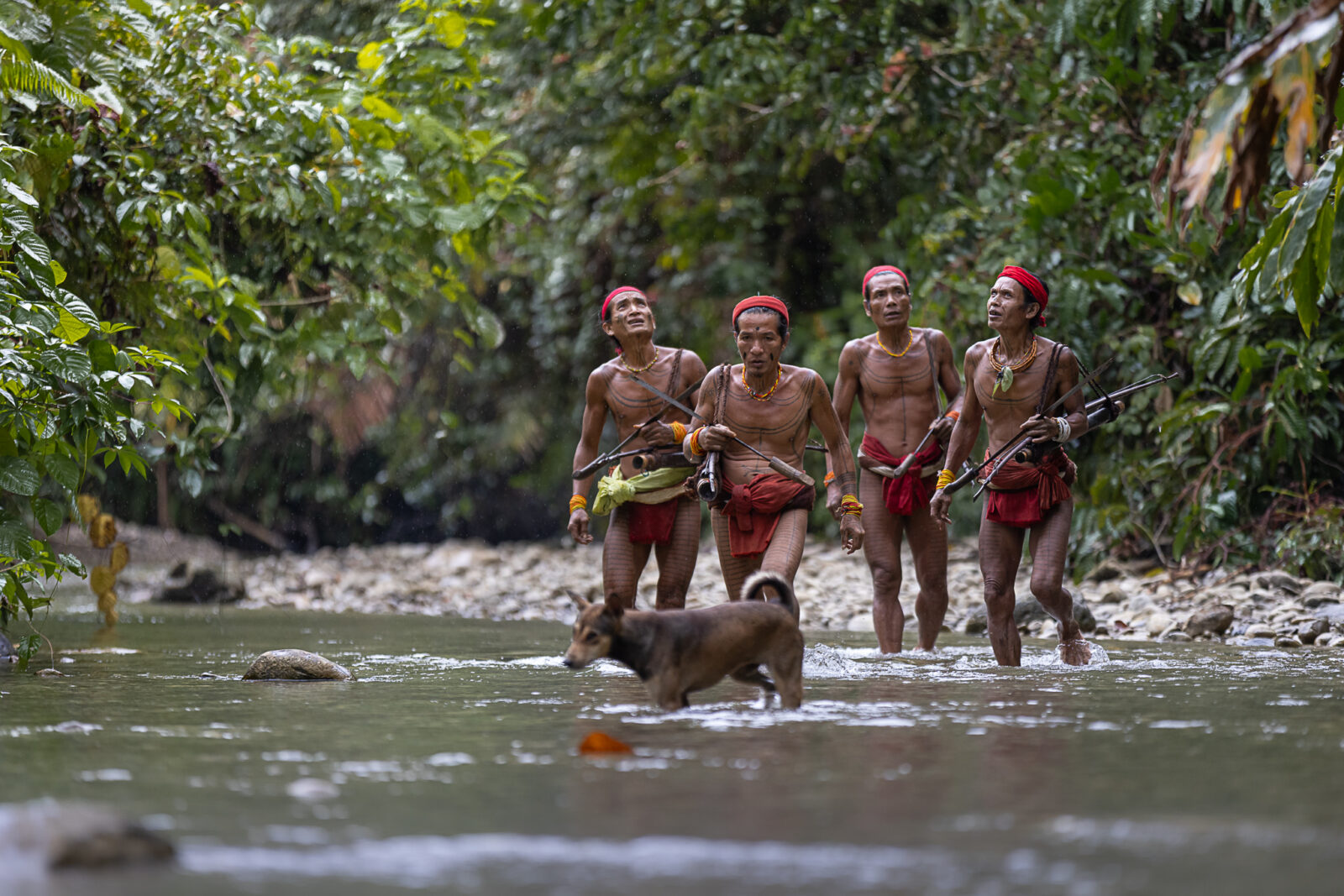 Mentawai shamans hunting with dogs on Siberut