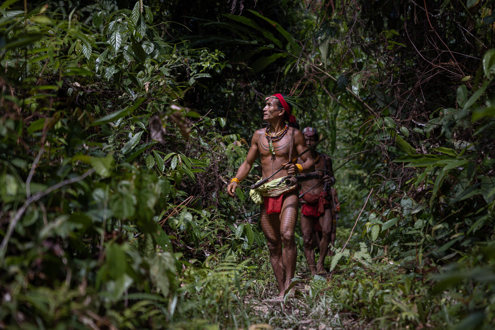 Mentawai shamans hunting in rainforest