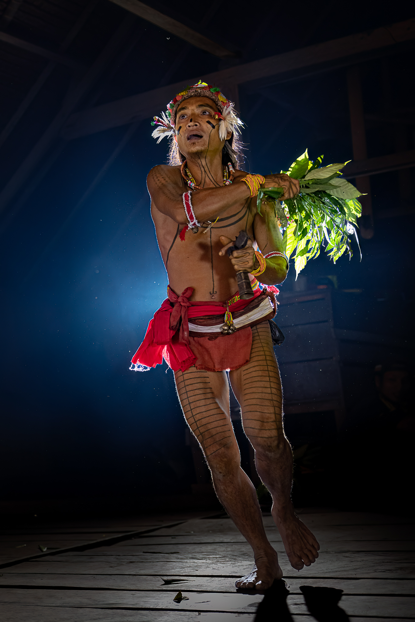 Traditional dancer with foliage in hand.