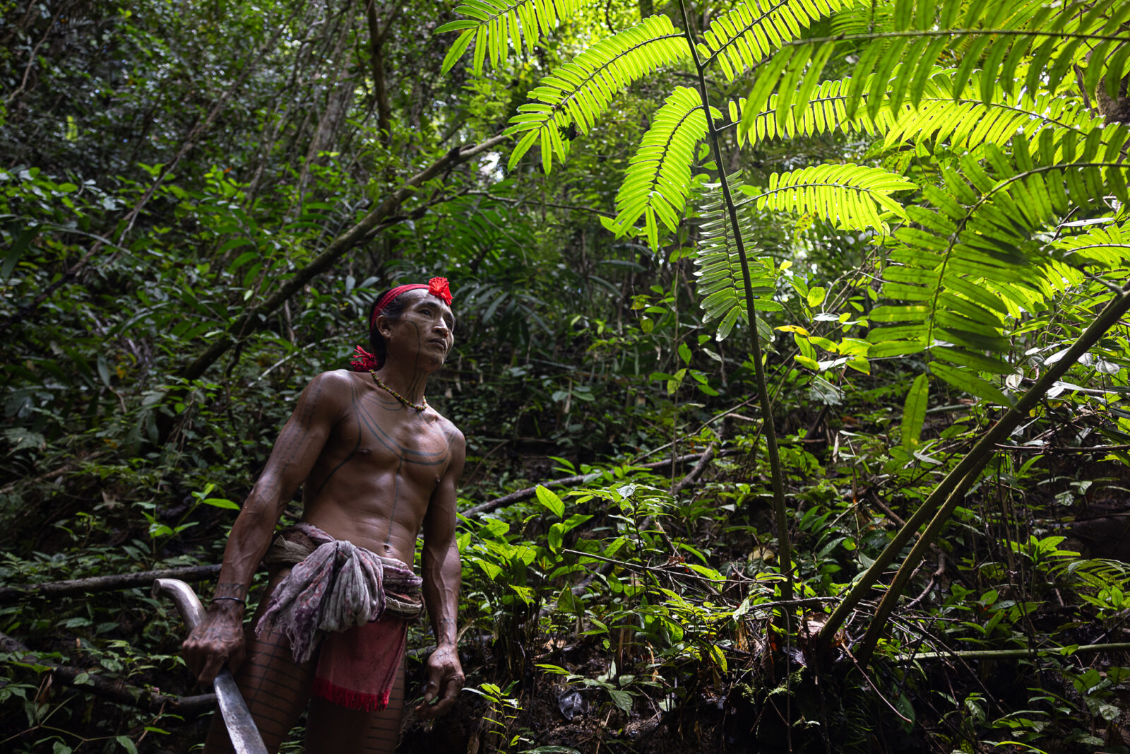Mentawai shaman in siberut rainforest