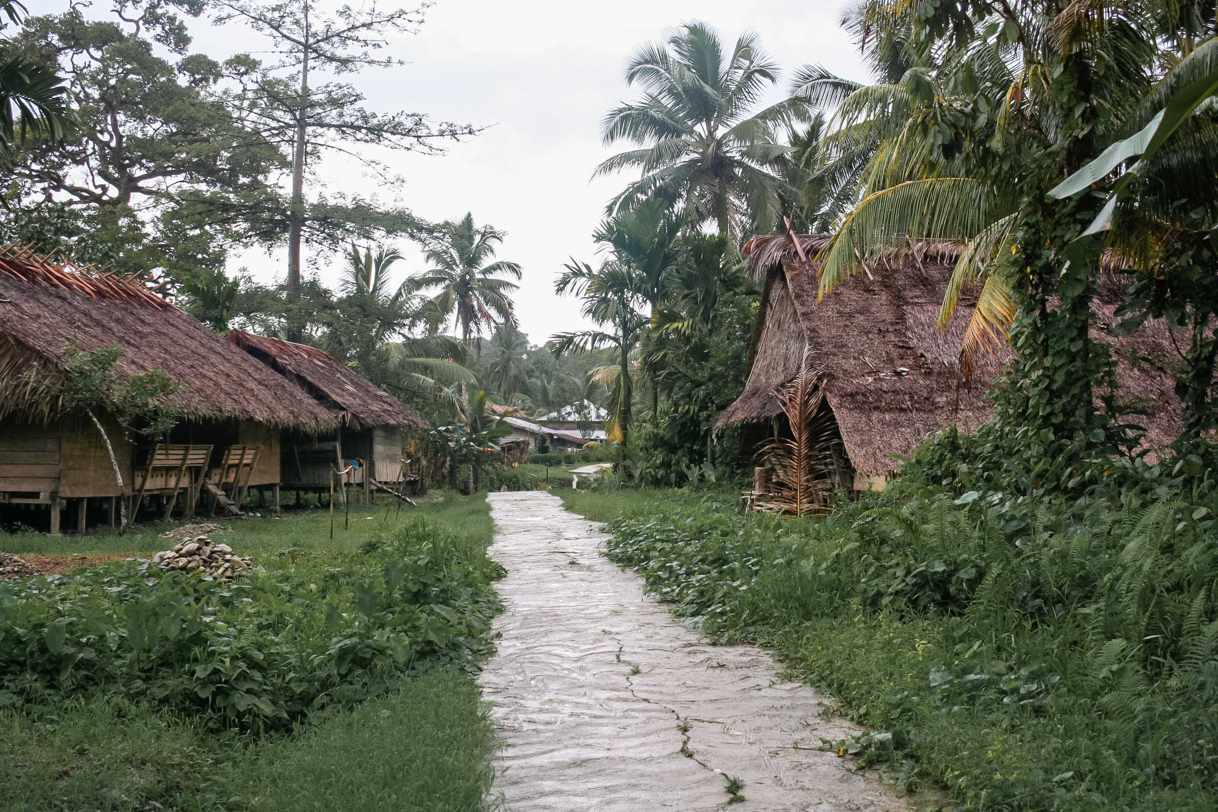 Mentawai government social village on Siberut Island