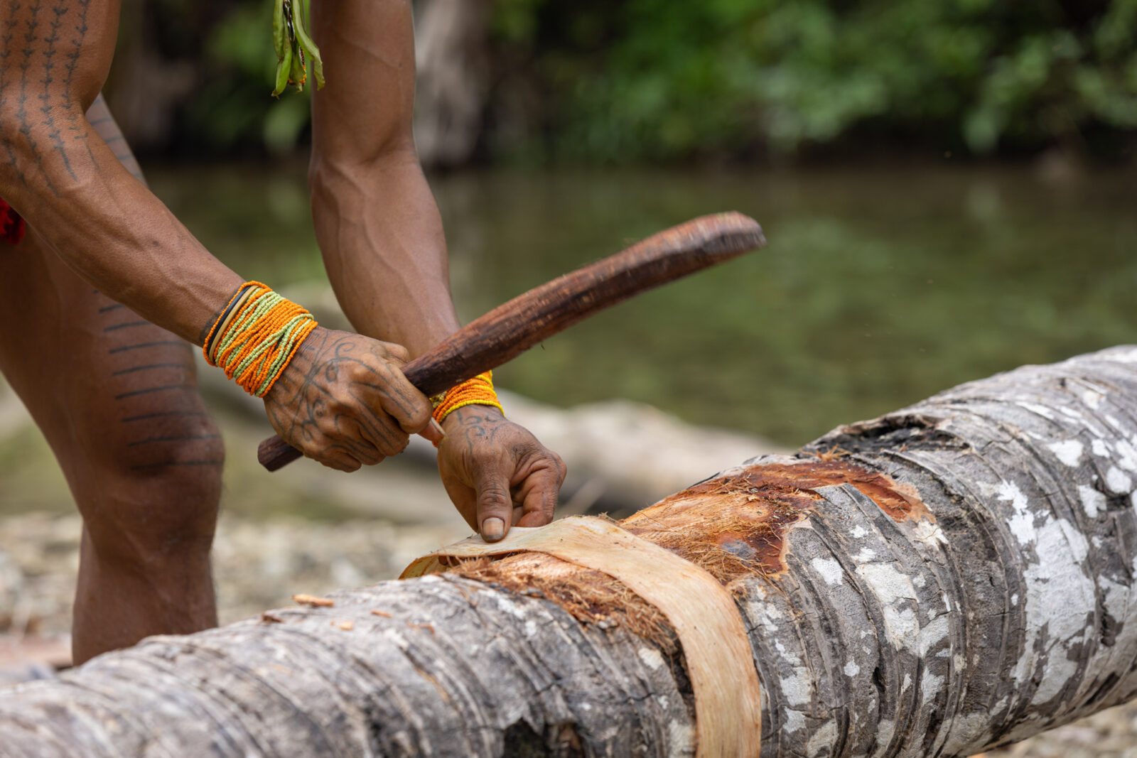Wood mallet used to soften tree bark for a Mentawai loincloth