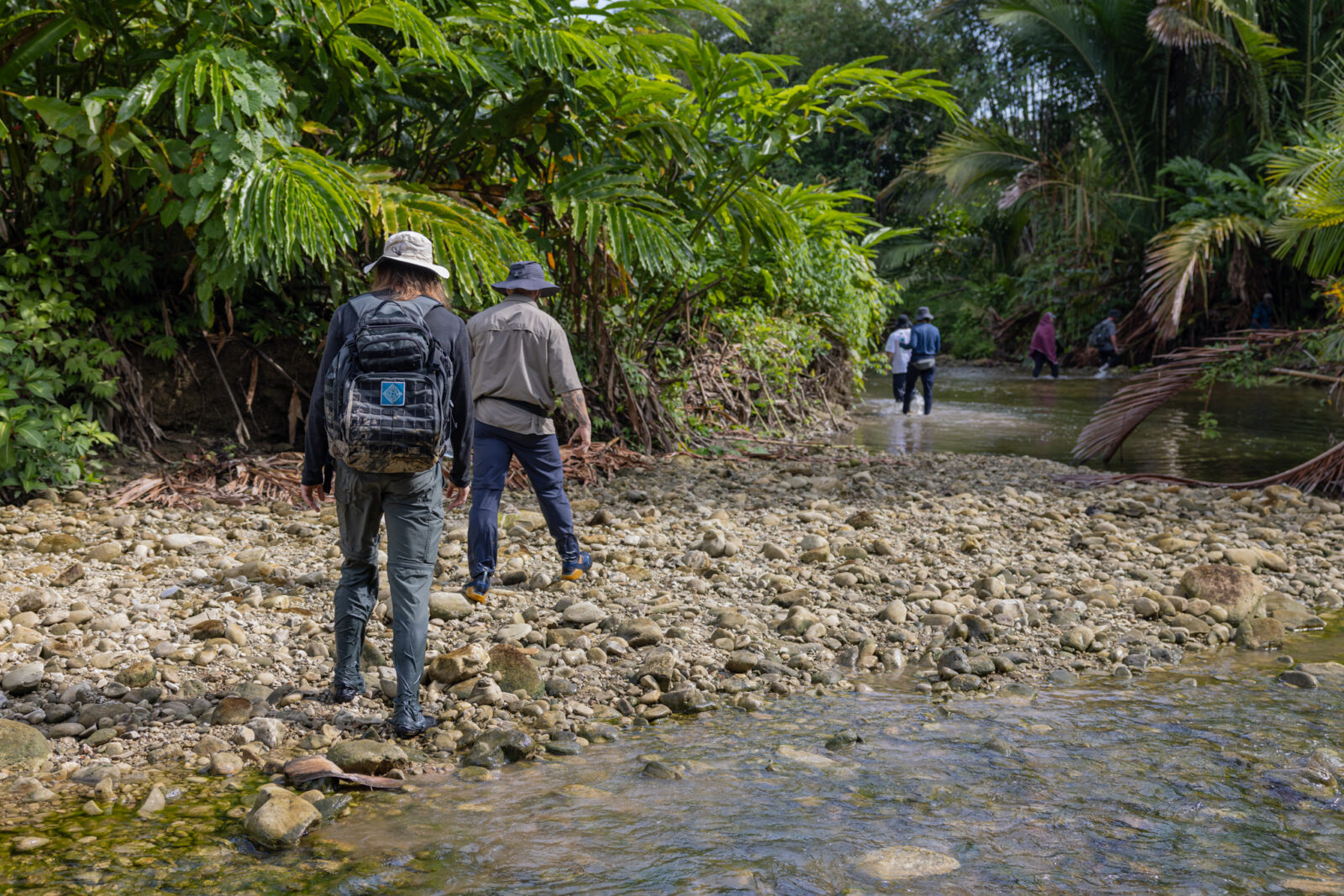 mentawai private tour hiking through rainforest siberut island