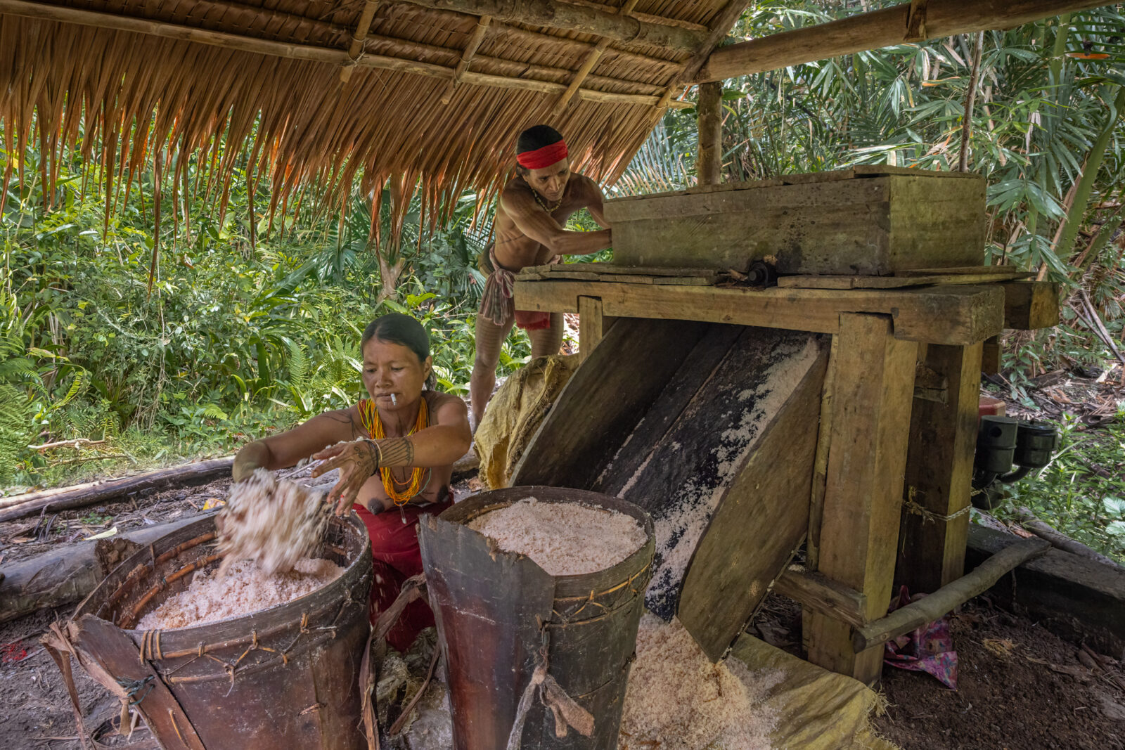 A modern machine to grate sago palm, staple food of the Mentawai people on Siberut Island