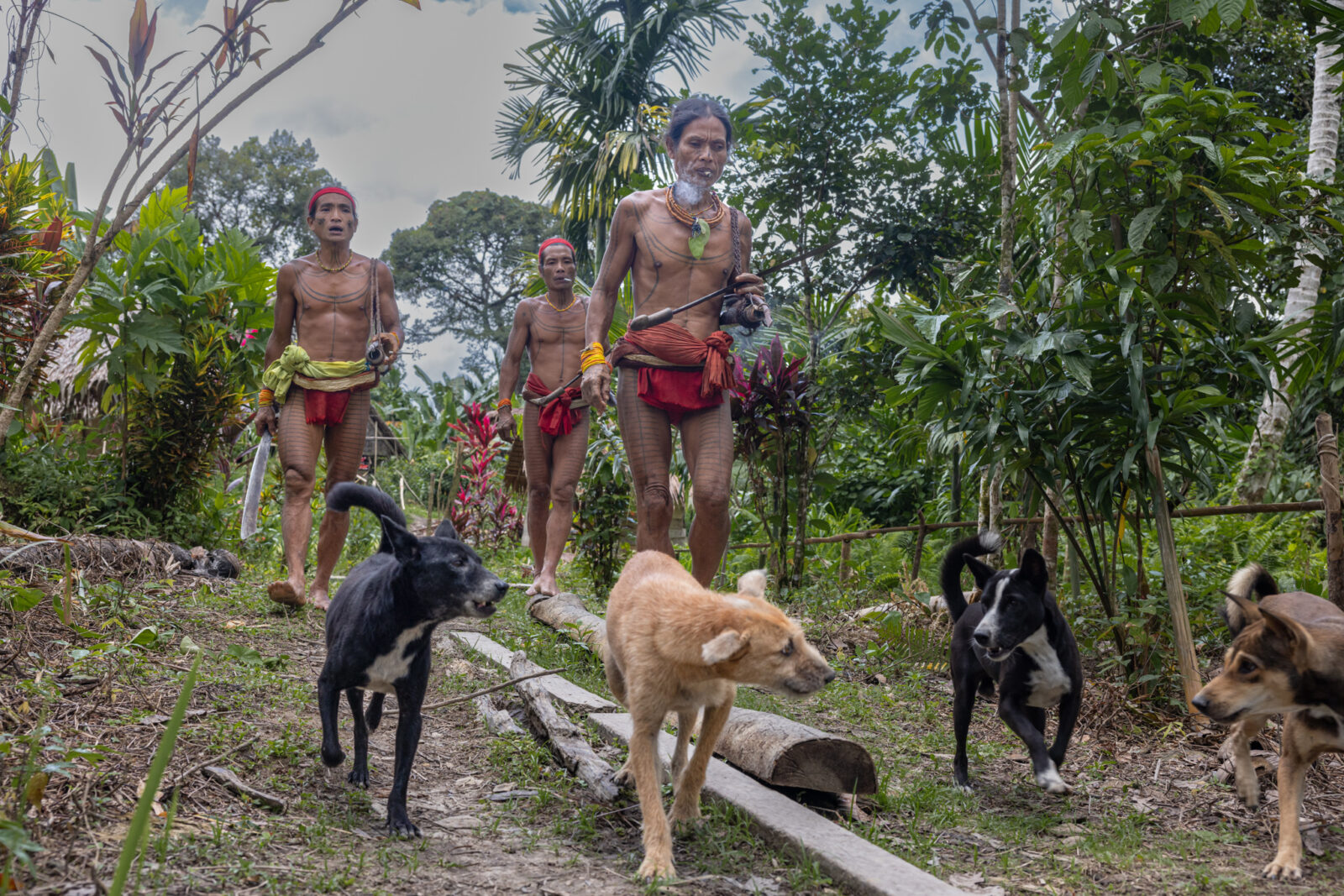 Mentawai shamans on Siberut go hunting with their dogs