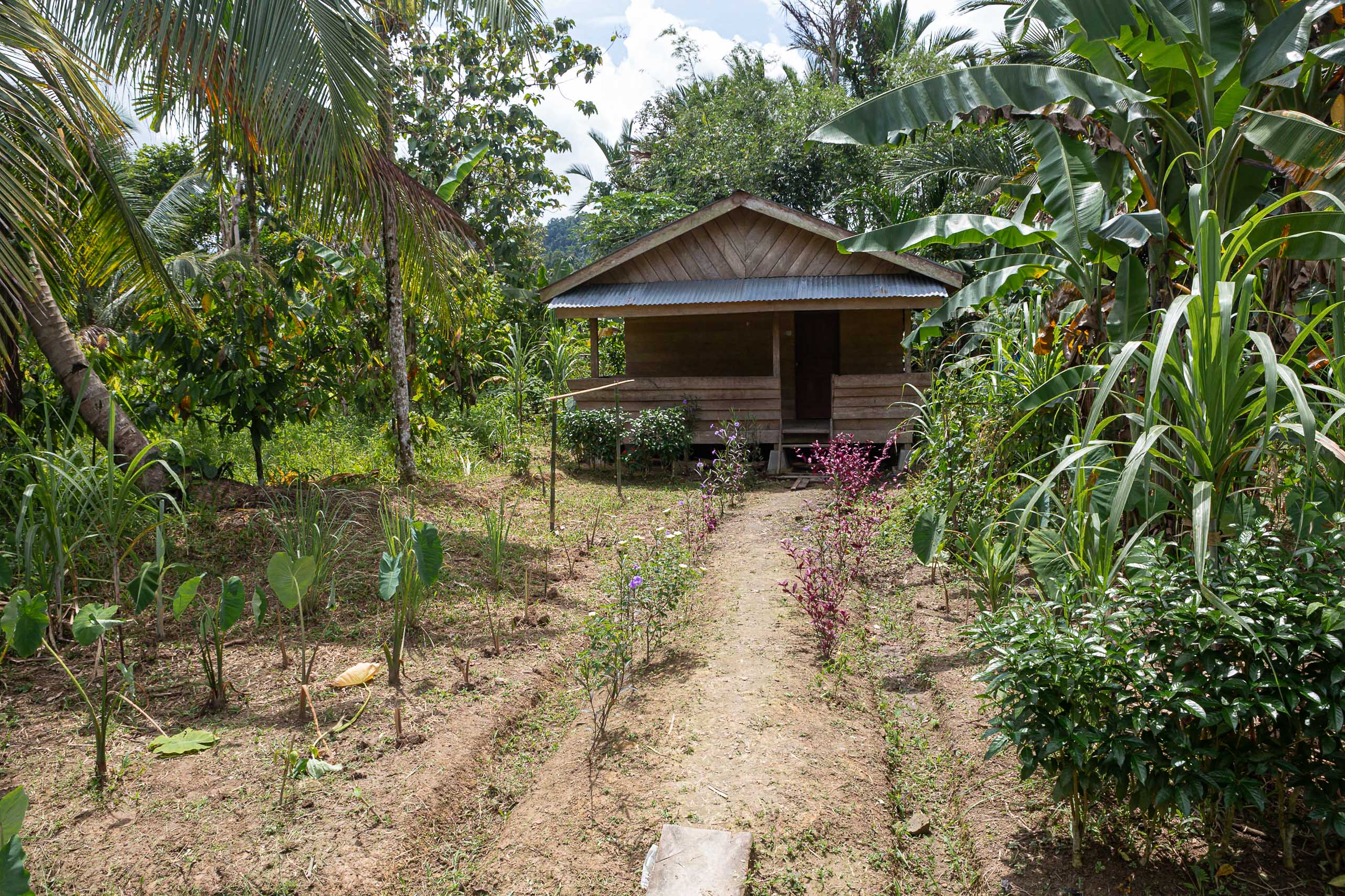 Mentawai social village house on Siberut Island