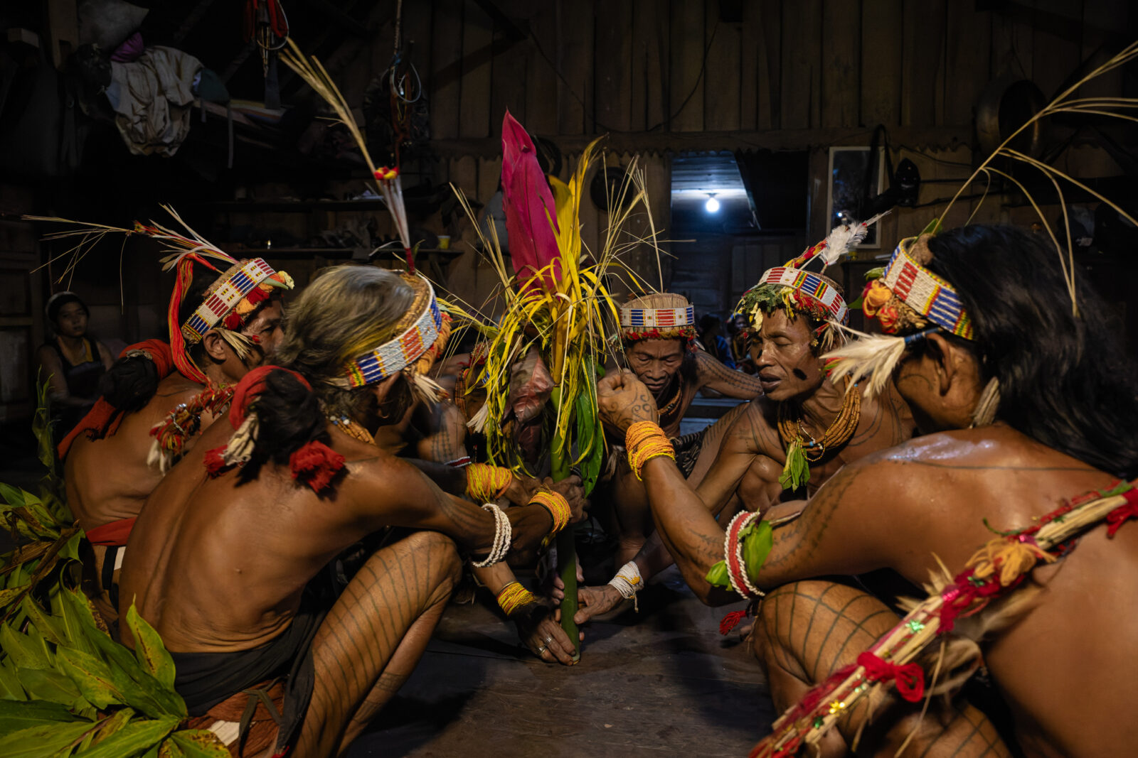 Mentawai shamans ritual ceremony siberut island indonesia