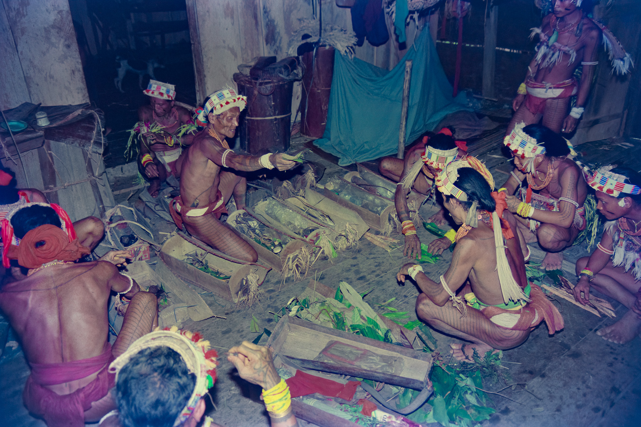 Mentawai shamans with salipak sacred boxes during kadut alaket ritual